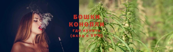 мескалин Бородино