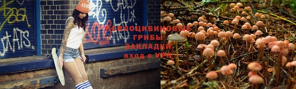 бутират Богданович